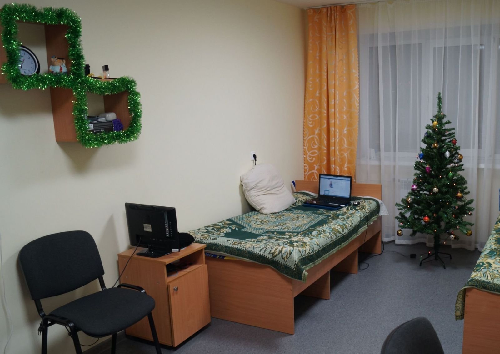 Новый год в общежитии: можно или нет?