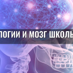 Технологии и мозг школьника