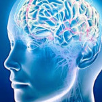 Цифровые дети и префронтальная кора: неожиданные последствия технологий
